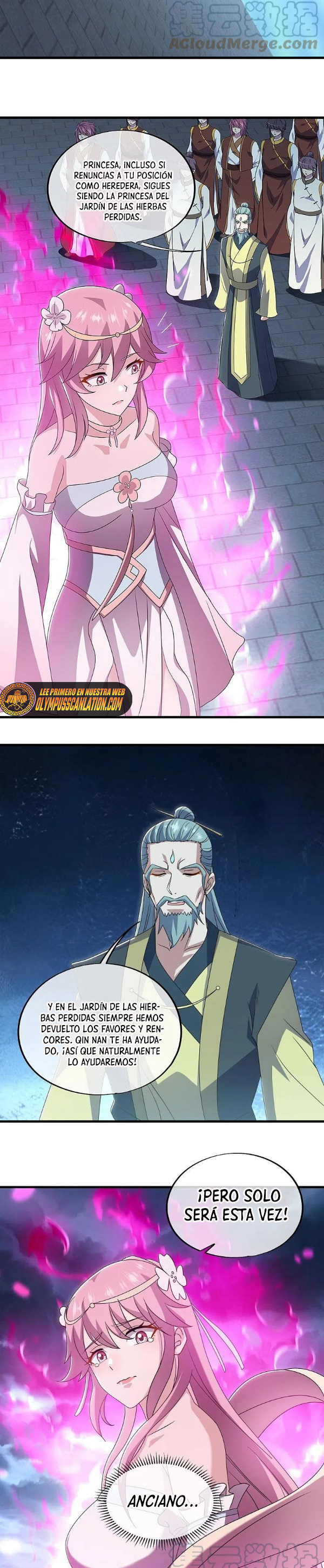 Peerless Battle Spirit Capitulo 533 página 14