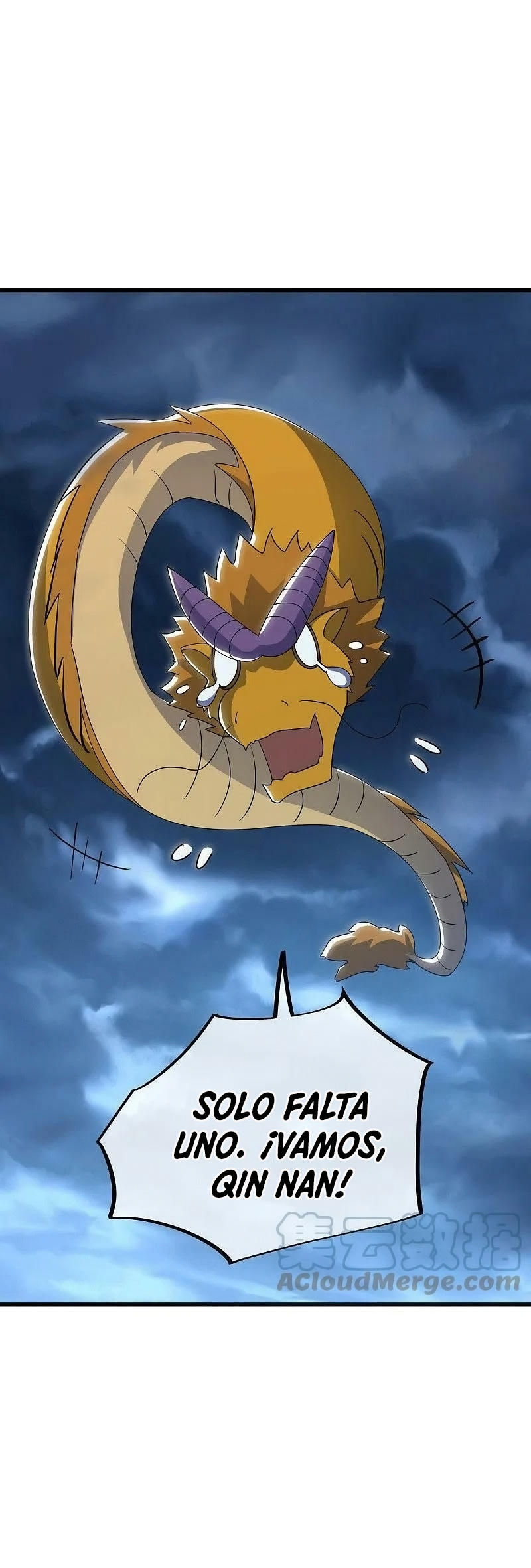 Peerless Battle Spirit Capitulo 534 página 12