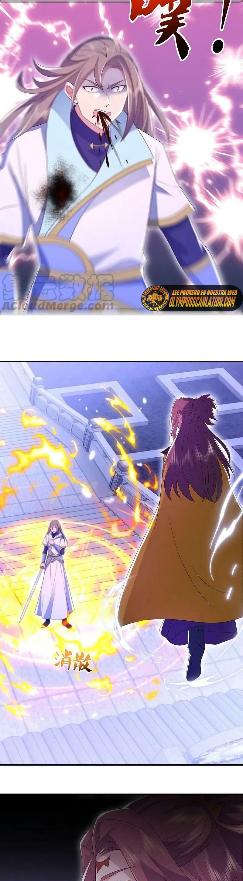 Peerless Battle Spirit Capitulo 536 página 23