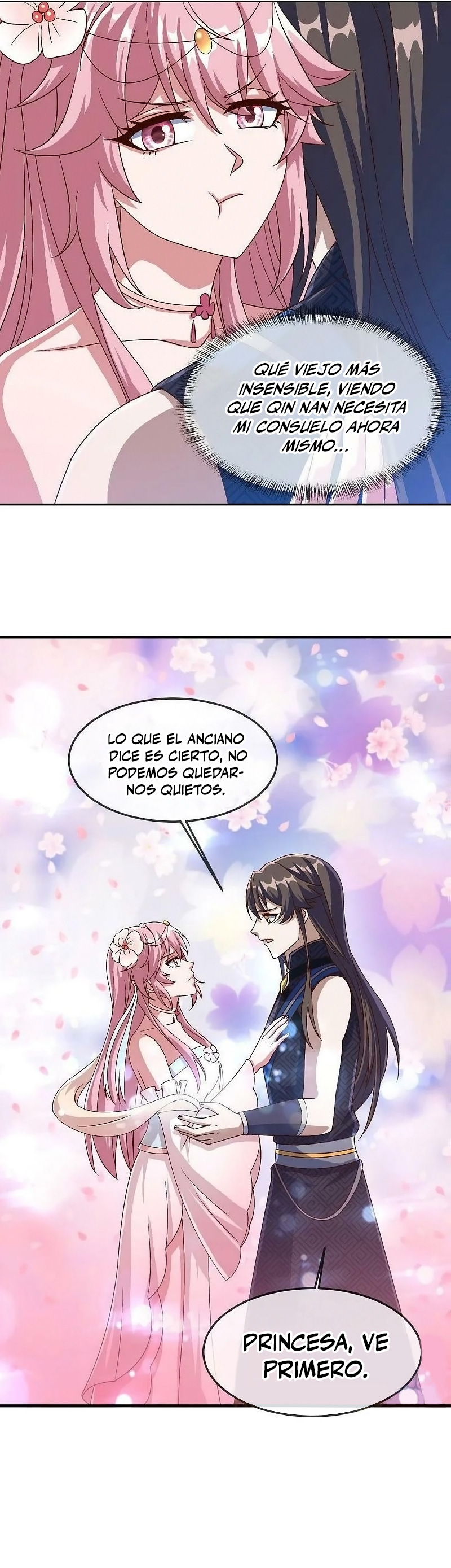 Peerless Battle Spirit Capitulo 537 página 13