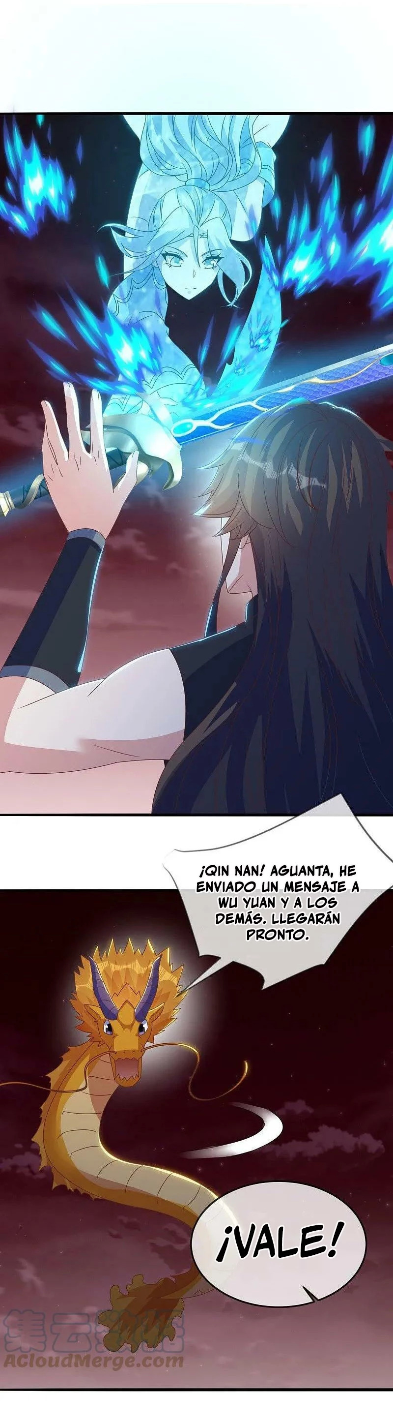 Peerless Battle Spirit Capitulo 555 página 13