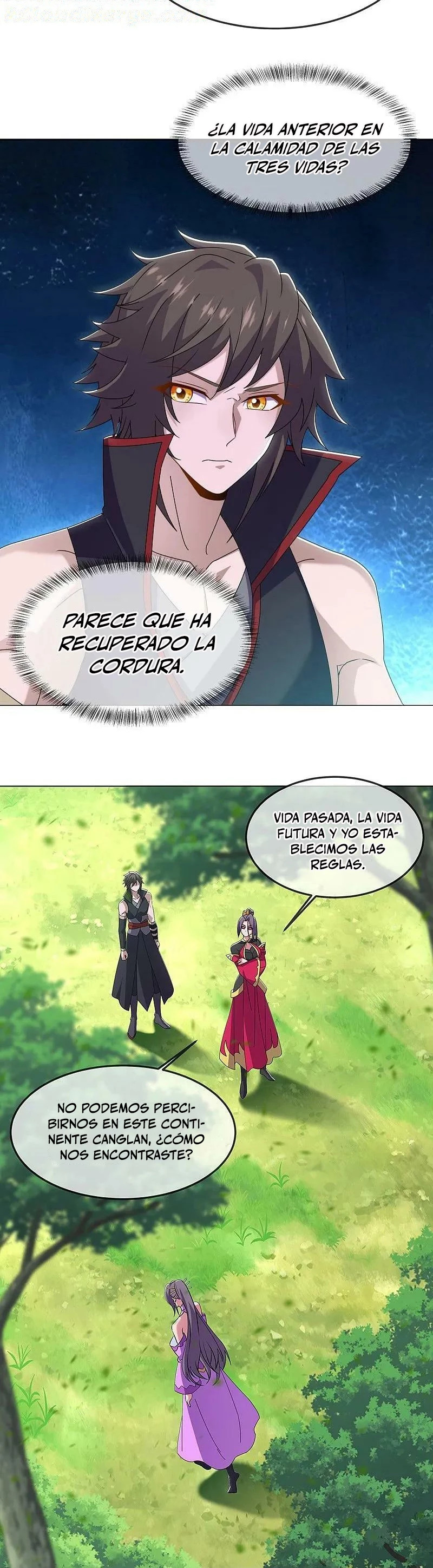 Peerless Battle Spirit Capitulo 570 página 21
