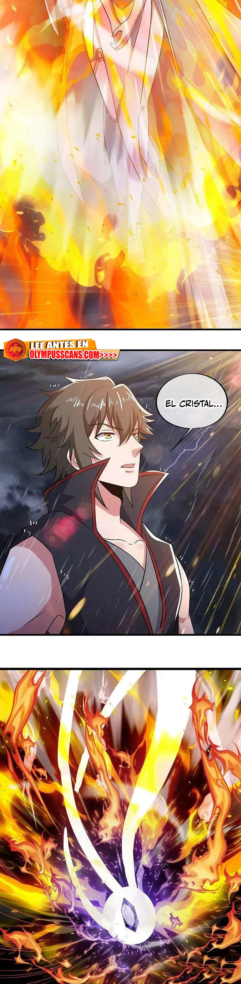 Peerless Battle Spirit Capitulo 580 página 10