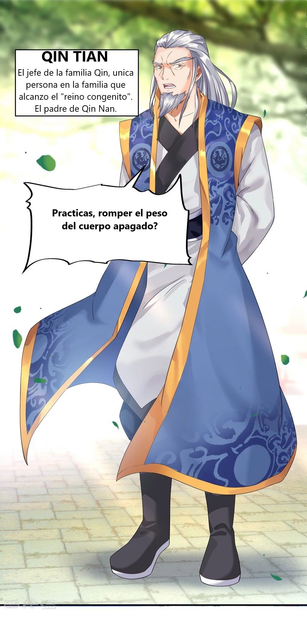 Peerless Battle Spirit Capitulo 6 página 29