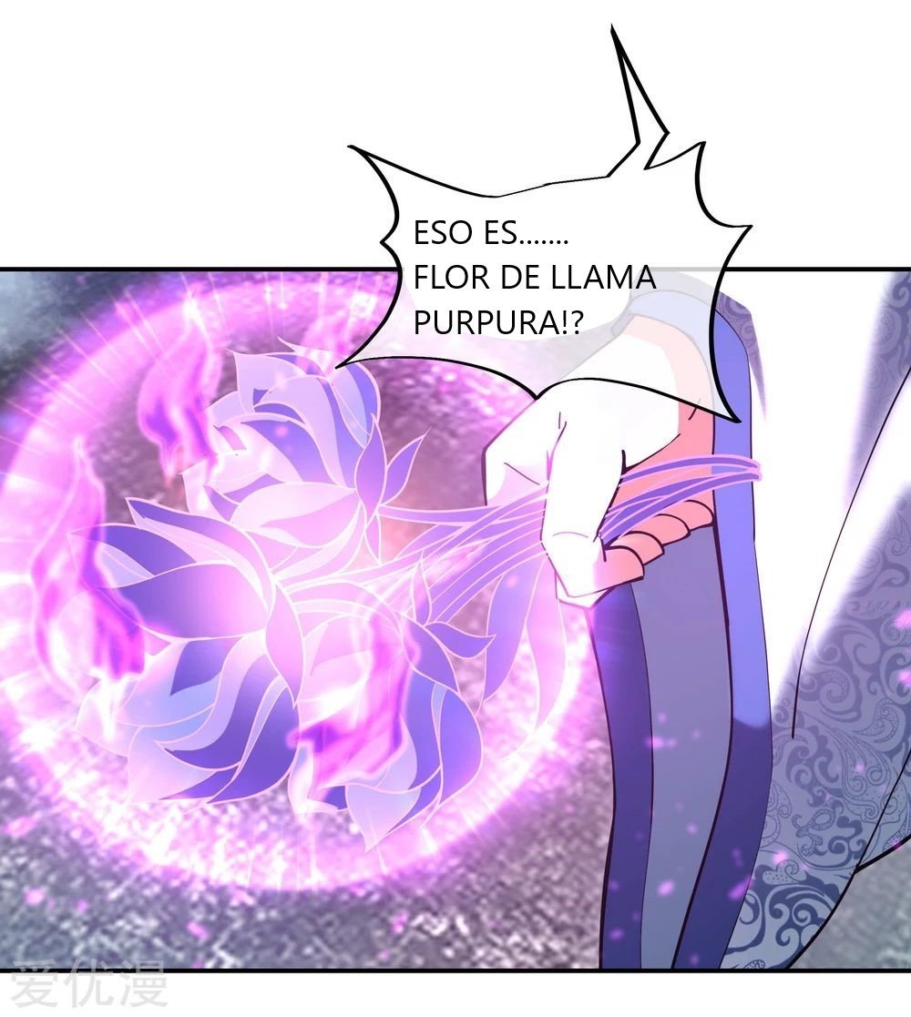 Peerless Battle Spirit Capitulo 63 página 3