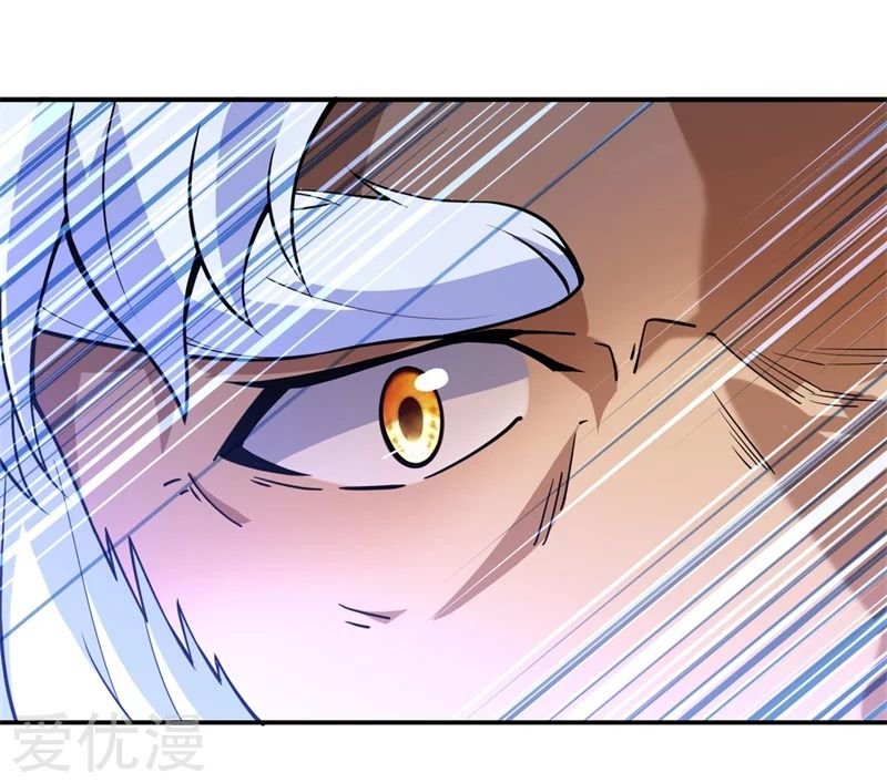 Peerless Battle Spirit Capitulo 74 página 3
