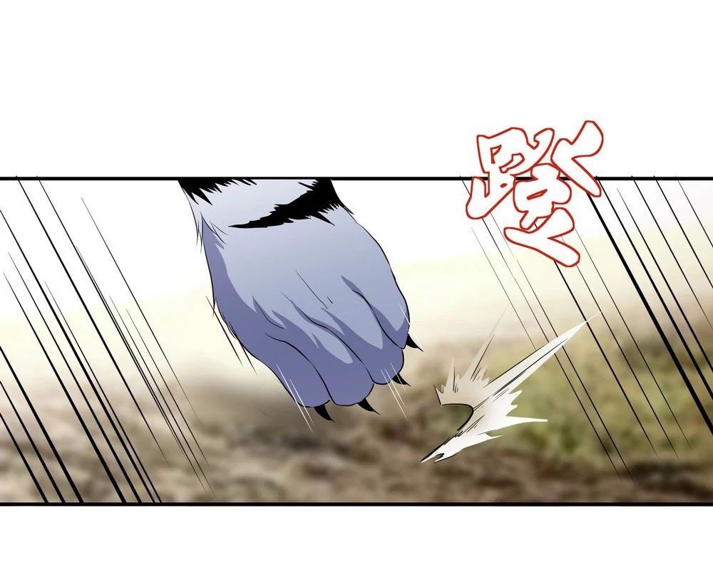 Peerless Battle Spirit Capitulo 8 página 25