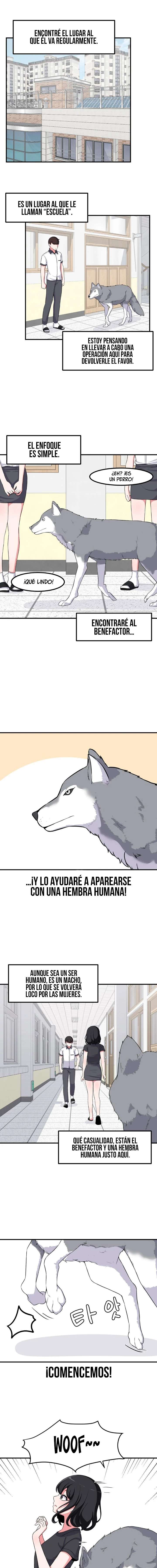 El Secreto de Jae-kyung Capitulo 60 página 6