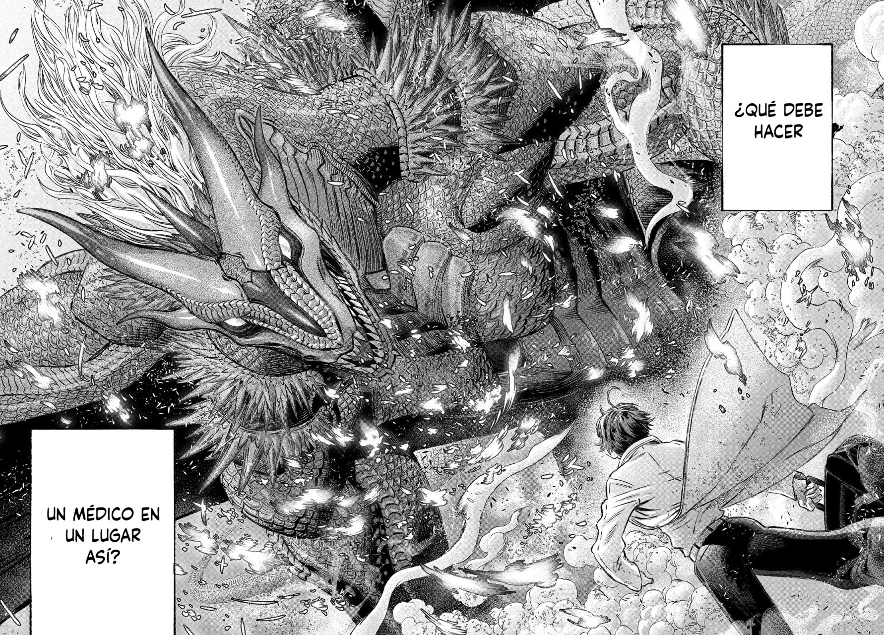 Koudou ni Hattatsu Shita Igaku wa Mahou to Kubetsu ga Tsukanai Capitulo 1: Médico sin fronteras página 5