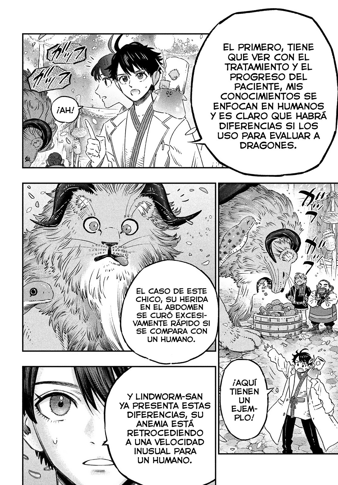 Koudou ni Hattatsu Shita Igaku wa Mahou to Kubetsu ga Tsukanai Capitulo 10: Seguimiento Médico página 17