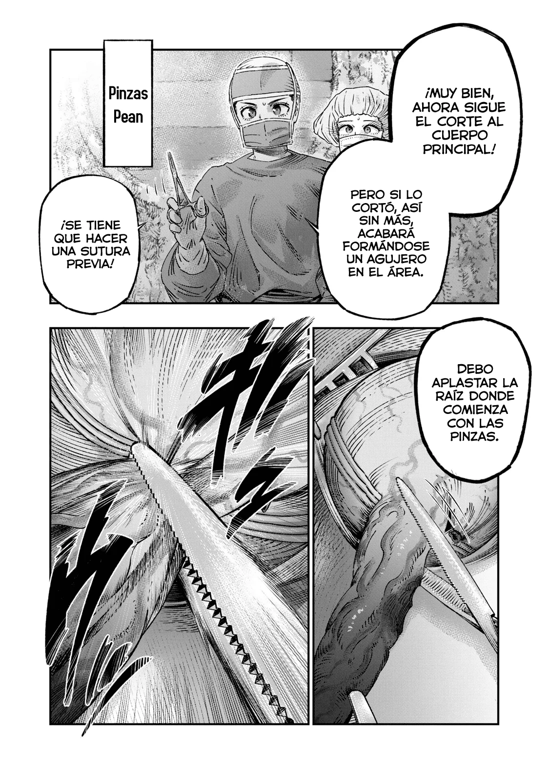 Koudou ni Hattatsu Shita Igaku wa Mahou to Kubetsu ga Tsukanai Capitulo 18: Apendicectomía página 11
