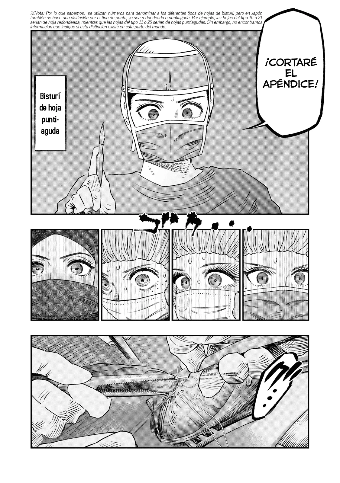 Koudou ni Hattatsu Shita Igaku wa Mahou to Kubetsu ga Tsukanai Capitulo 18: Apendicectomía página 17