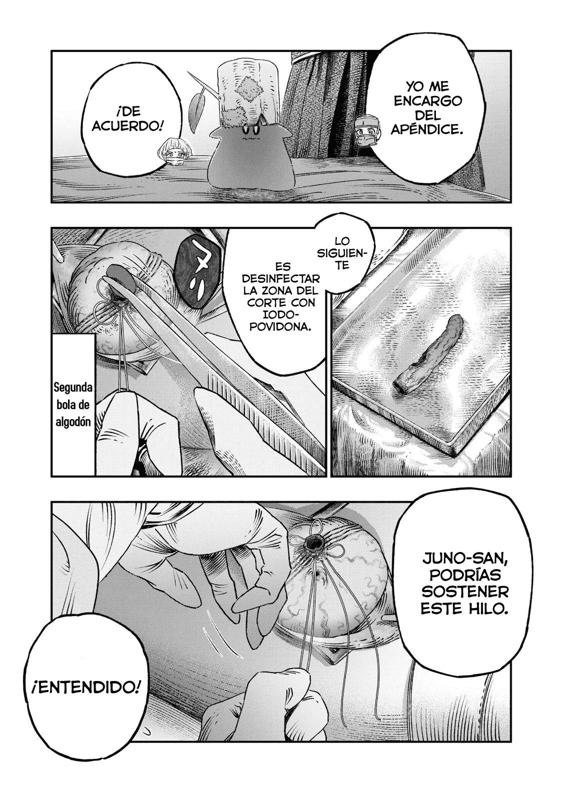 Koudou ni Hattatsu Shita Igaku wa Mahou to Kubetsu ga Tsukanai Capitulo 18: Apendicectomía página 19