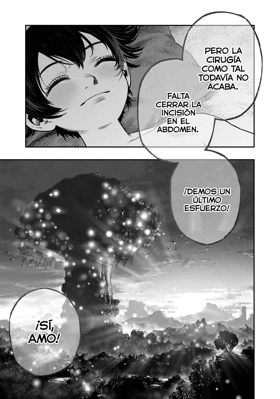 Koudou ni Hattatsu Shita Igaku wa Mahou to Kubetsu ga Tsukanai Capitulo 18: Apendicectomía página 24