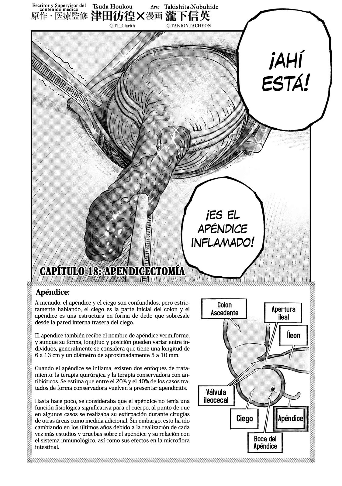 Koudou ni Hattatsu Shita Igaku wa Mahou to Kubetsu ga Tsukanai Capitulo 18: Apendicectomía página 3