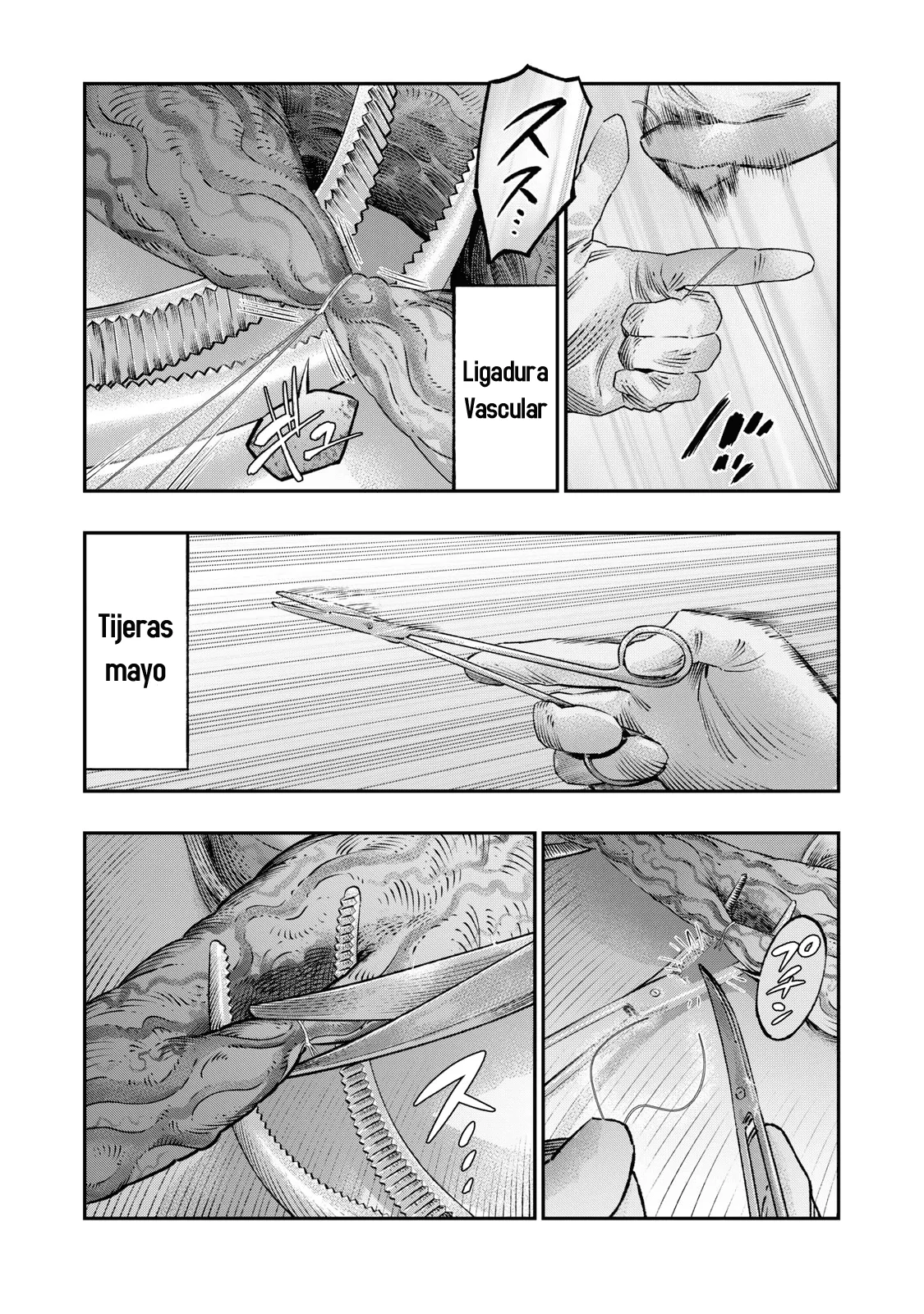 Koudou ni Hattatsu Shita Igaku wa Mahou to Kubetsu ga Tsukanai Capitulo 18: Apendicectomía página 9