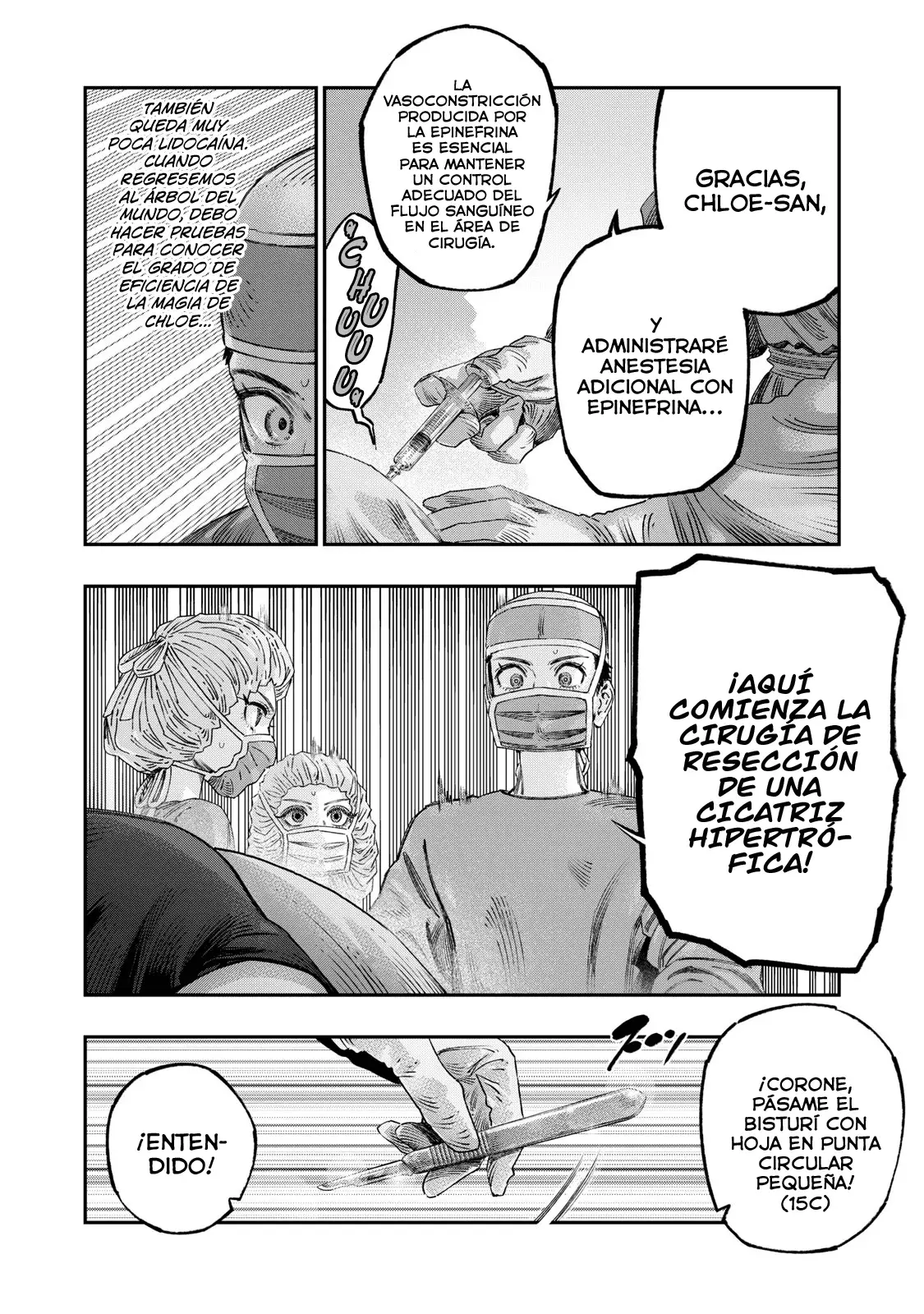 Koudou ni Hattatsu Shita Igaku wa Mahou to Kubetsu ga Tsukanai Capitulo 36: Plastia en W página 13