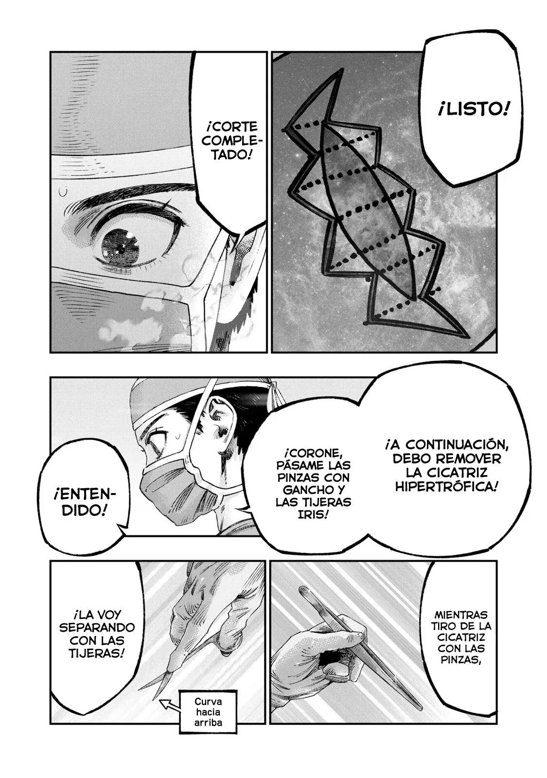 Koudou ni Hattatsu Shita Igaku wa Mahou to Kubetsu ga Tsukanai Capitulo 36: Plastia en W página 17