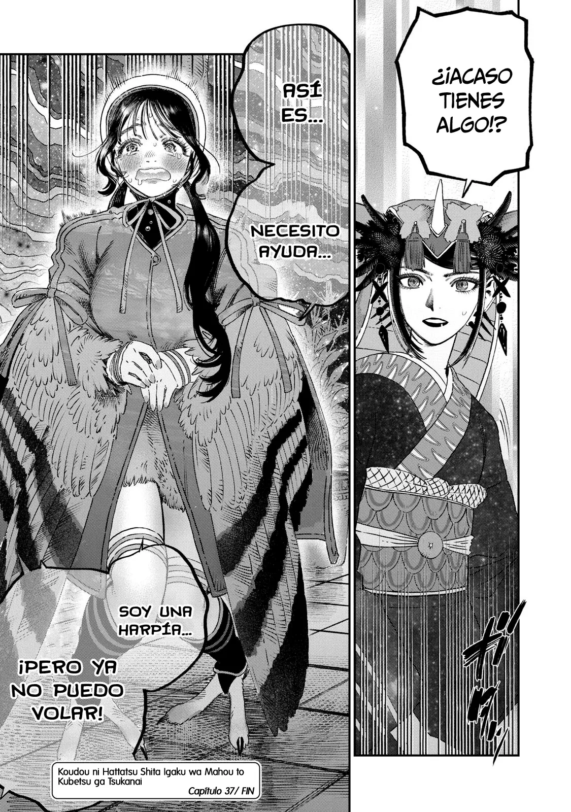 Koudou ni Hattatsu Shita Igaku wa Mahou to Kubetsu ga Tsukanai Capitulo 37: Retorno a casa página 46