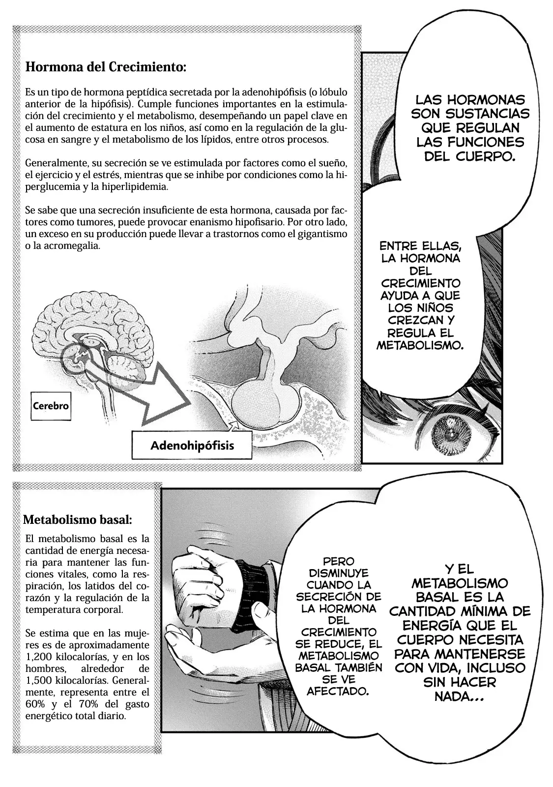 Koudou ni Hattatsu Shita Igaku wa Mahou to Kubetsu ga Tsukanai Capitulo 38: Entrevista médica página 28
