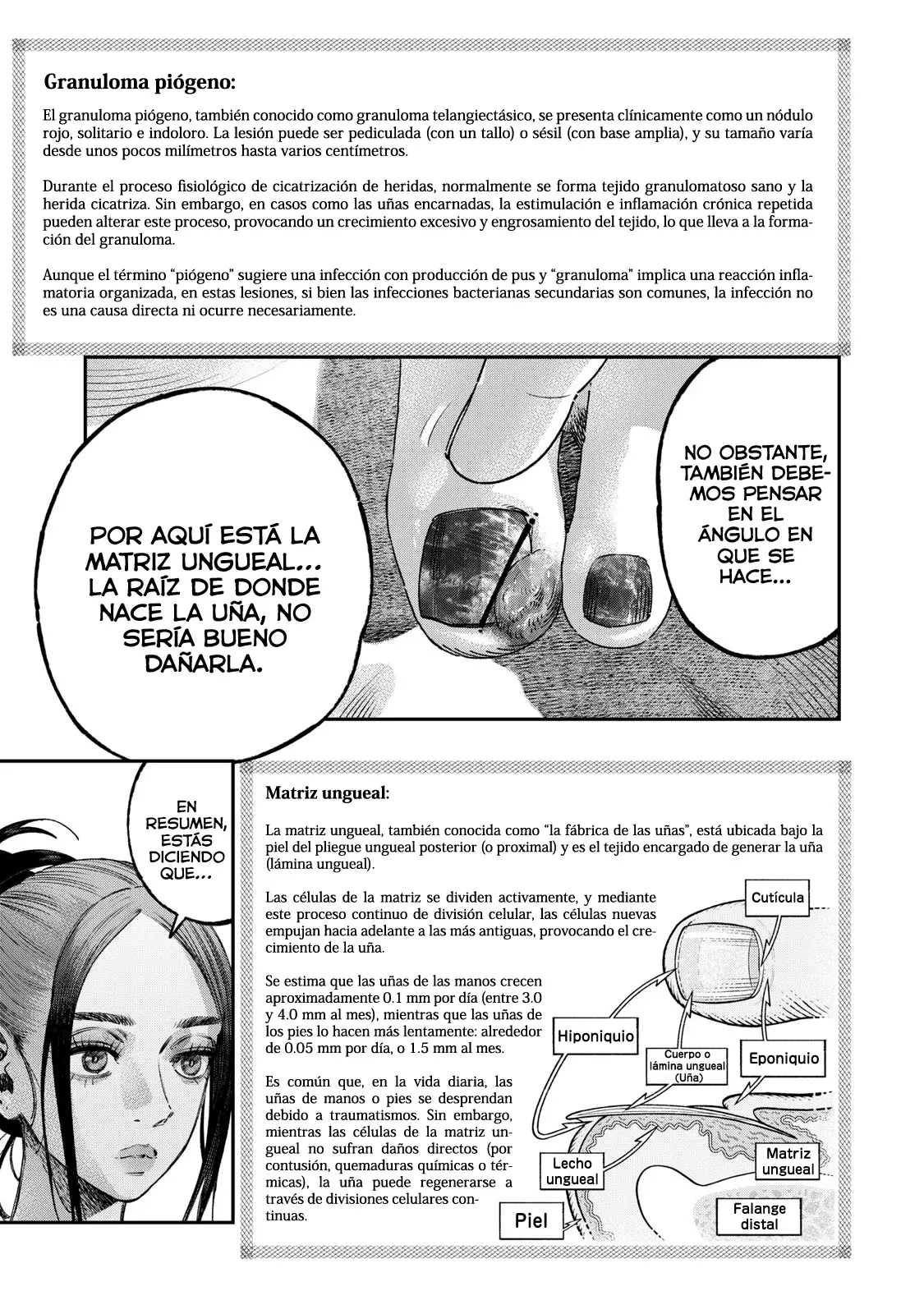Koudou ni Hattatsu Shita Igaku wa Mahou to Kubetsu ga Tsukanai Capitulo 42: Uña encarnada página 16