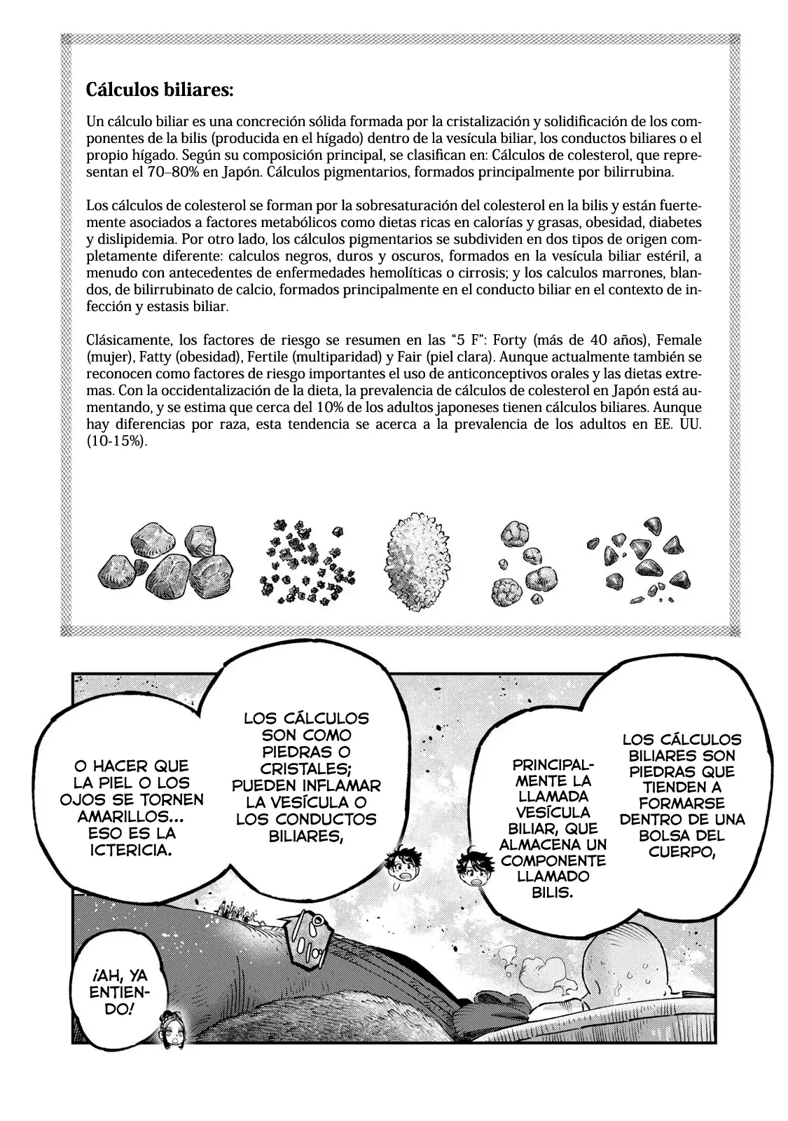Koudou ni Hattatsu Shita Igaku wa Mahou to Kubetsu ga Tsukanai Capitulo 45: Ictericia página 44