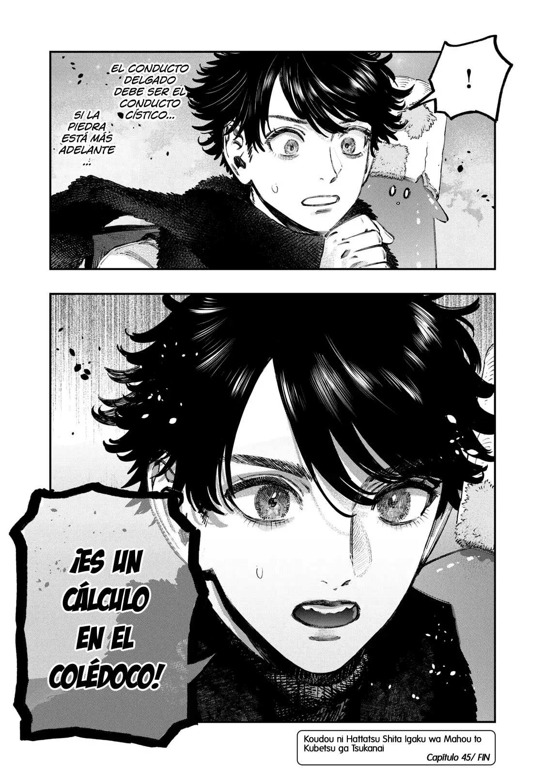Koudou ni Hattatsu Shita Igaku wa Mahou to Kubetsu ga Tsukanai Capitulo 45: Ictericia página 47