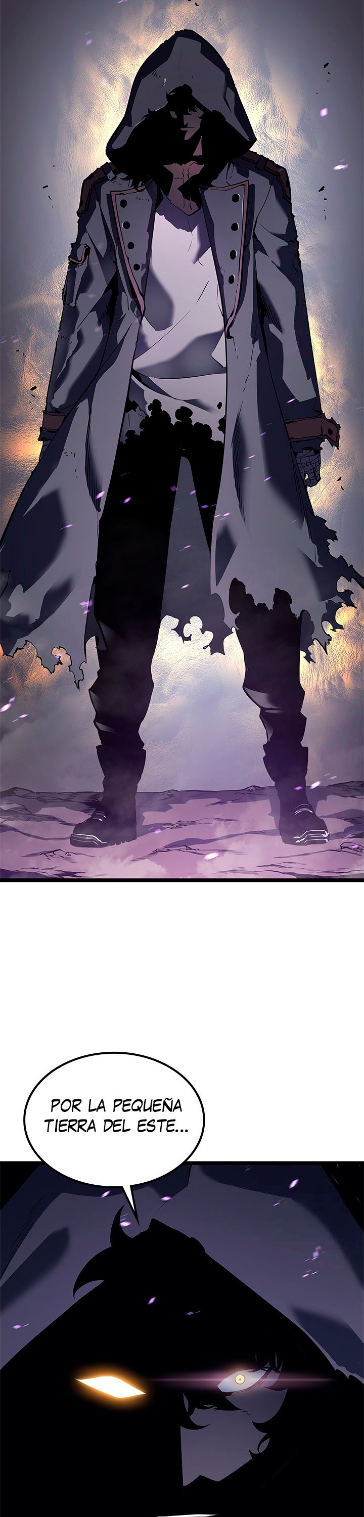 Solo leveling Capitulo 111 página 10