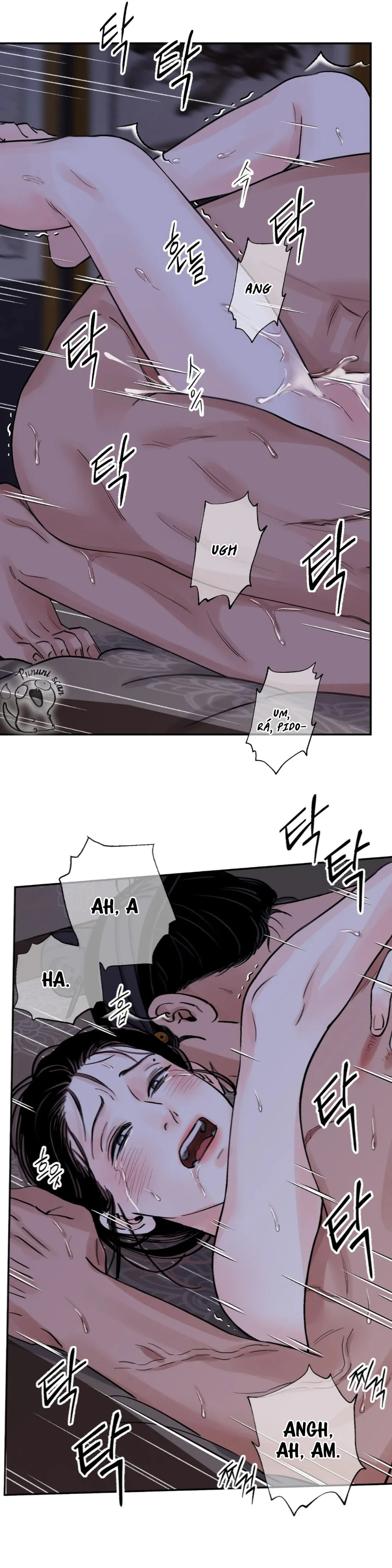 La Espada y la Flor Capitulo 24 página 13