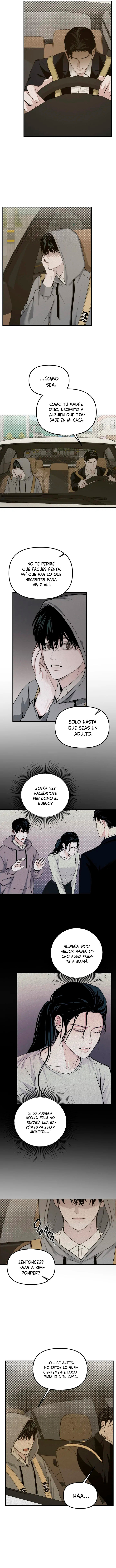 Proyeccion Capitulo 12 página 5
