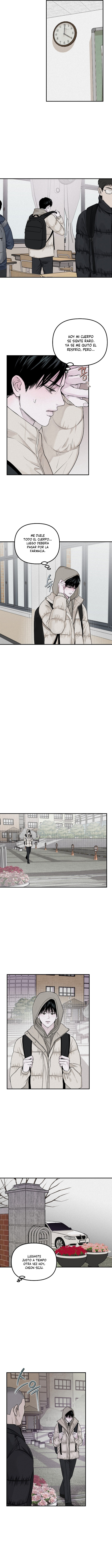 Proyeccion Capitulo 22 página 3