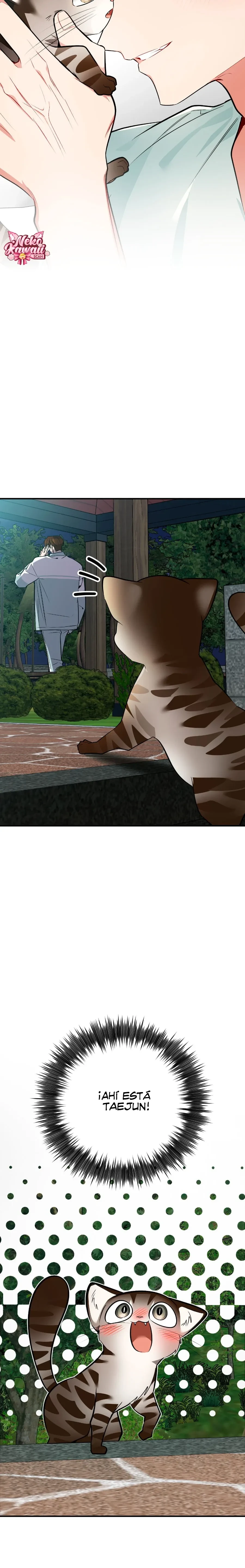 ¡Dame un cachorro leopardo si no quieres verme enloquecer! Capitulo 12 página 3