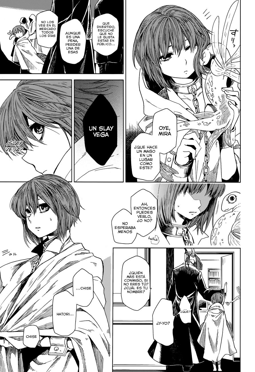 Mahou Tsukai No Yome Capitulo 1 página 12