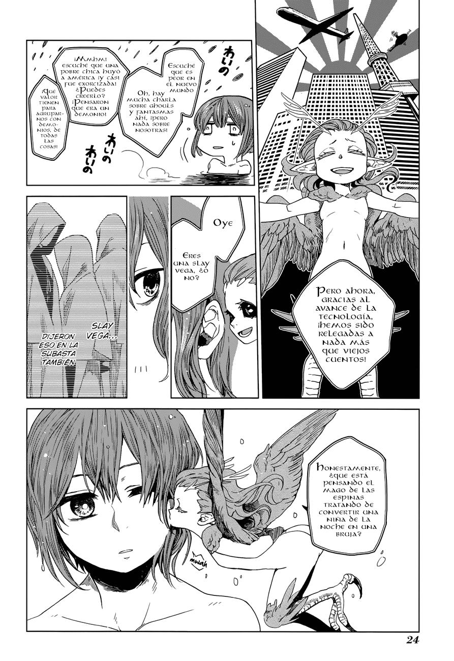 Mahou Tsukai No Yome Capitulo 1 página 24