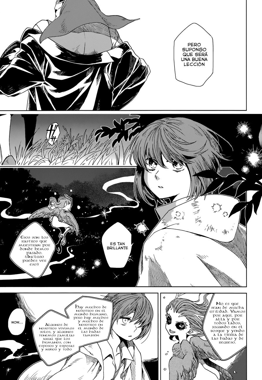 Mahou Tsukai No Yome Capitulo 1 página 35