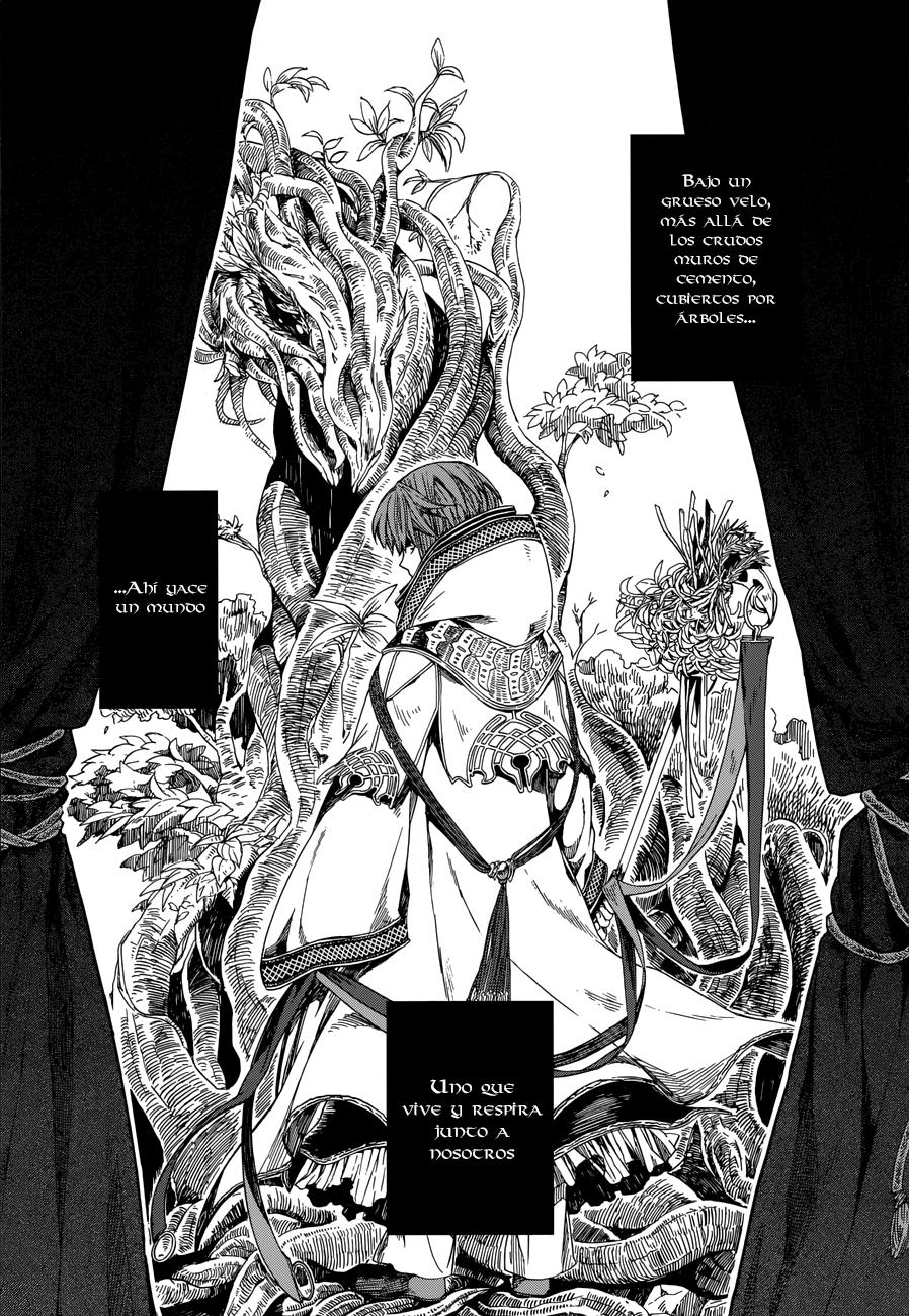 Mahou Tsukai No Yome Capitulo 1 página 8