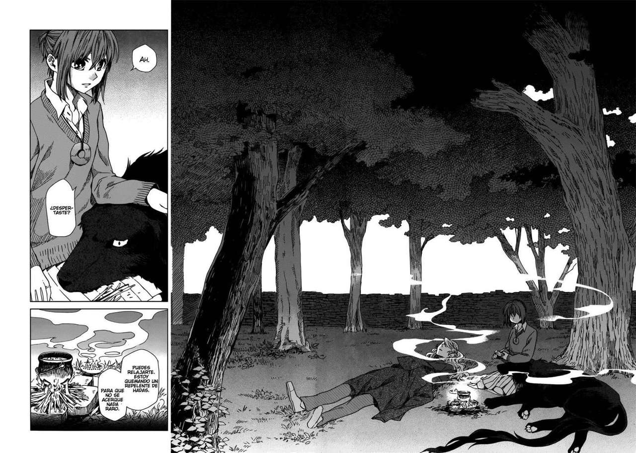 Mahou Tsukai No Yome Capitulo 10: Habla del diablo y el aparecera página 12