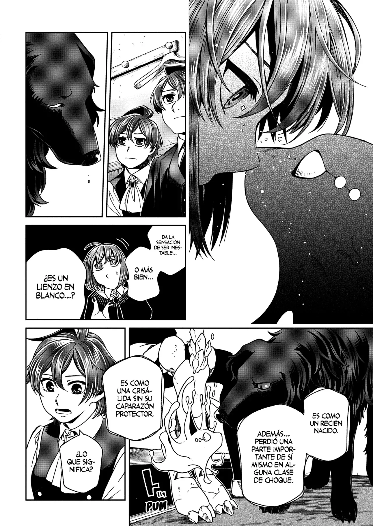 Mahou Tsukai No Yome Capitulo 105: Las pulgas grandes tienen pulgas pequeñas. III página 25