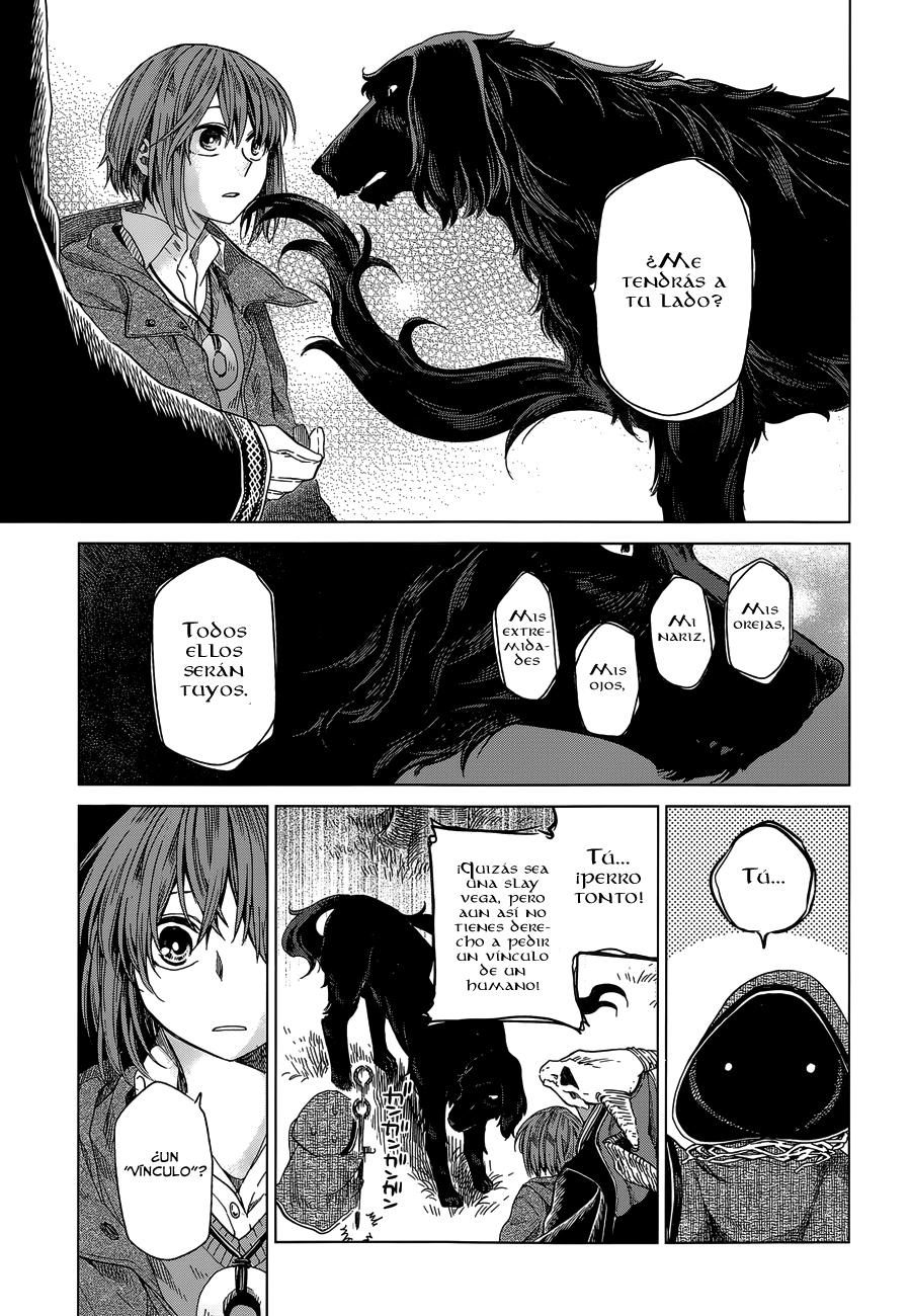 Mahou Tsukai No Yome Capitulo 12 página 19
