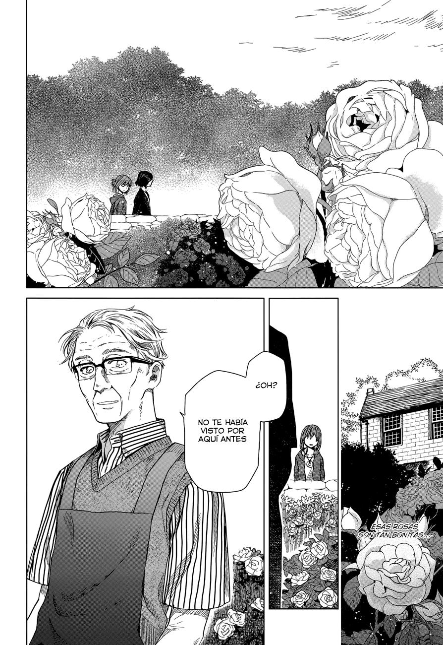 Mahou Tsukai No Yome Capitulo 14 página 12