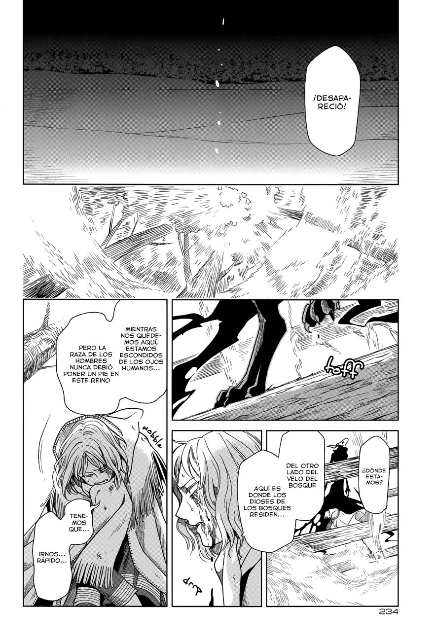 Mahou Tsukai No Yome Capitulo 16 página 29