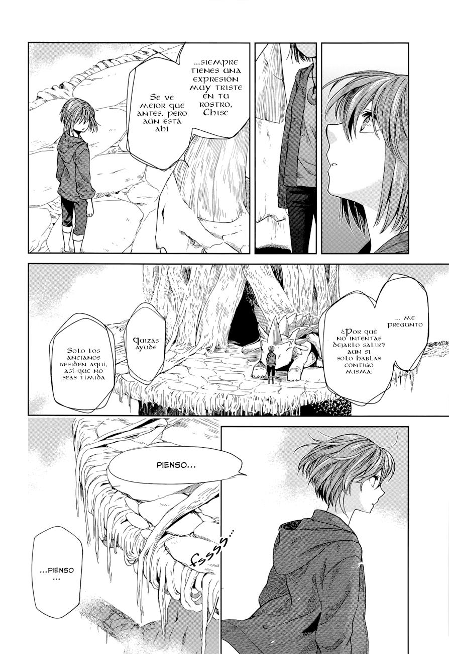 Mahou Tsukai No Yome Capitulo 18 página 13