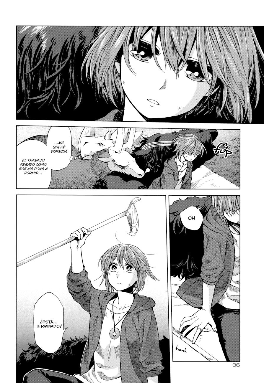 Mahou Tsukai No Yome Capitulo 18 página 4