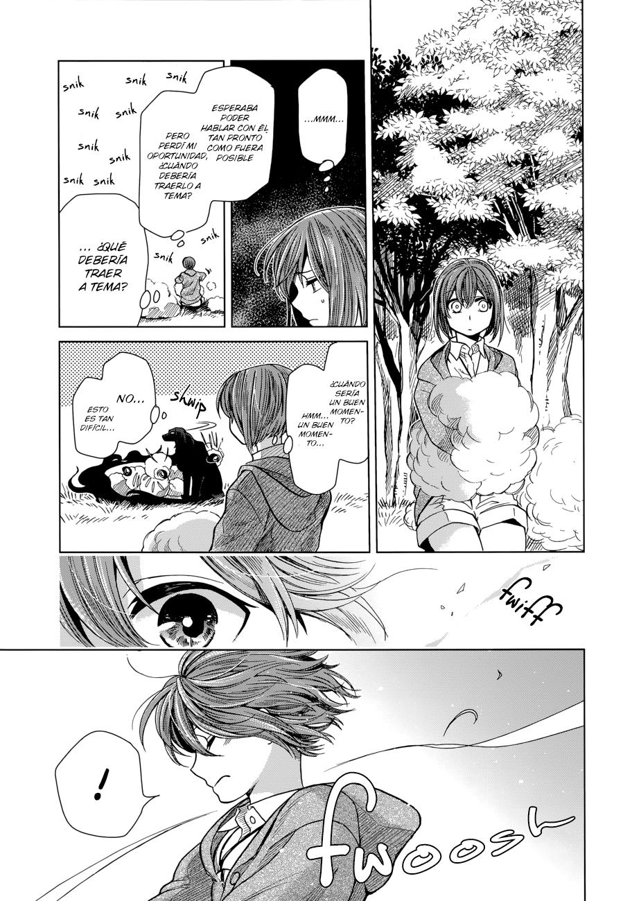 Mahou Tsukai No Yome Capitulo 19 página 11