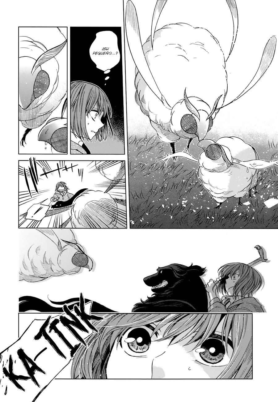 Mahou Tsukai No Yome Capitulo 19 página 16