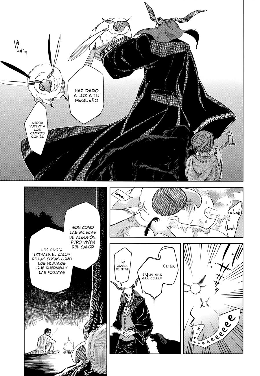 Mahou Tsukai No Yome Capitulo 19 página 17