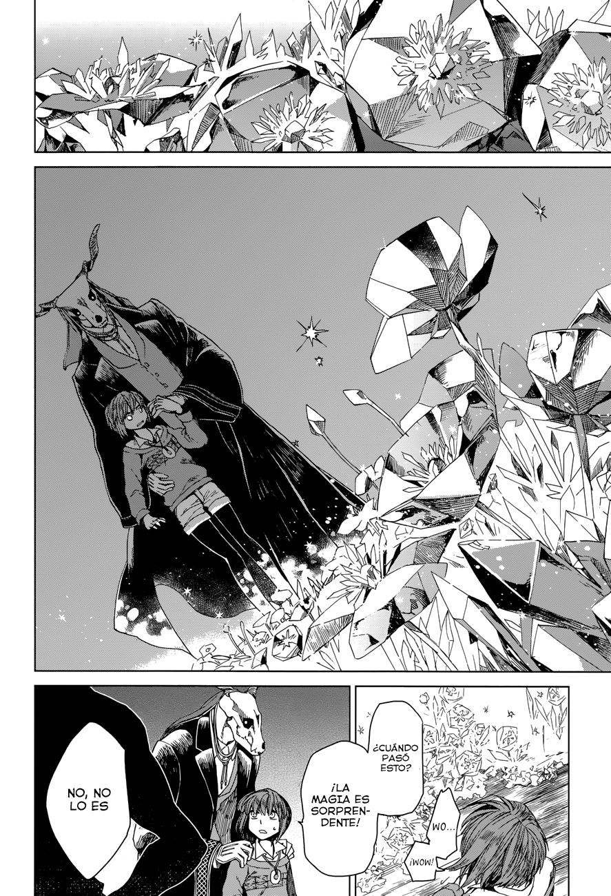 Mahou Tsukai No Yome Capitulo 2 página 25