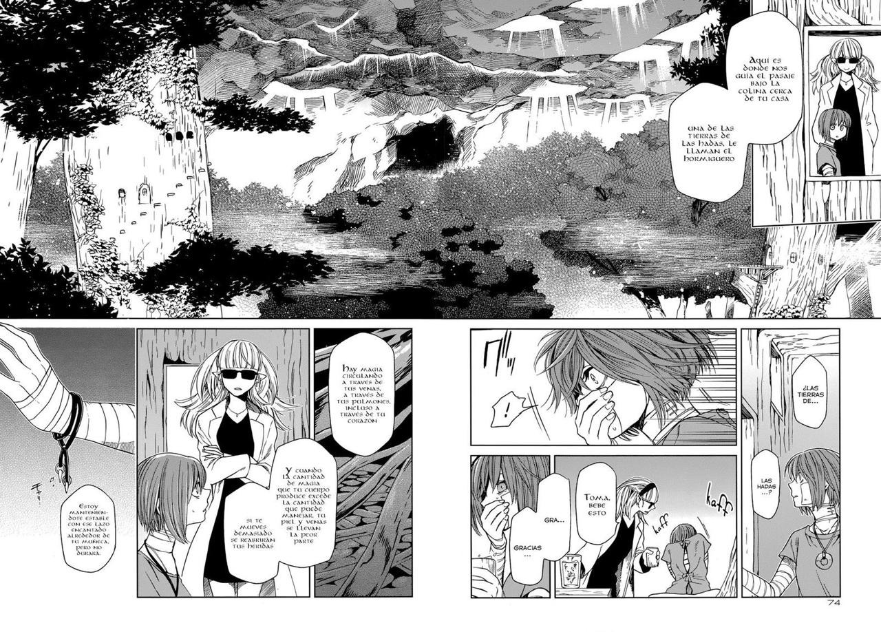 Mahou Tsukai No Yome Capitulo 23 página 12