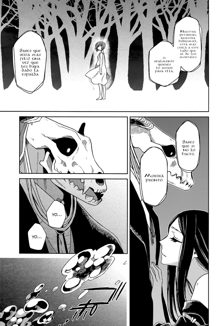 Mahou Tsukai No Yome Capitulo 23 página 28