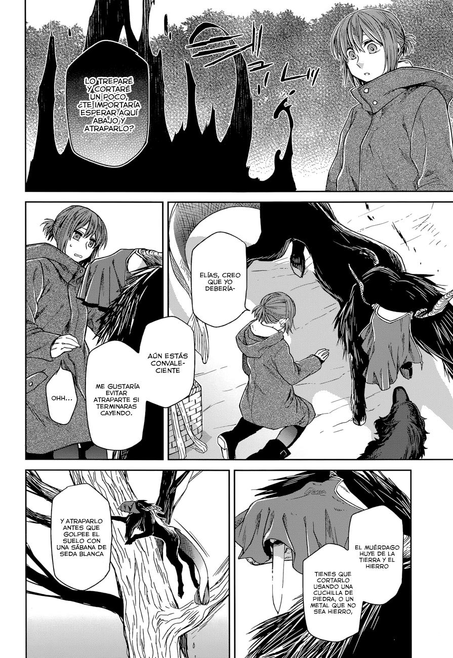 Mahou Tsukai No Yome Capitulo 25 página 19